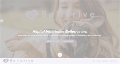 Desktop Screenshot of bellerivevet.com