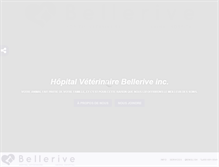 Tablet Screenshot of bellerivevet.com